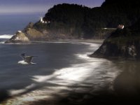 Heceta Head